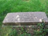 image of grave number 443641